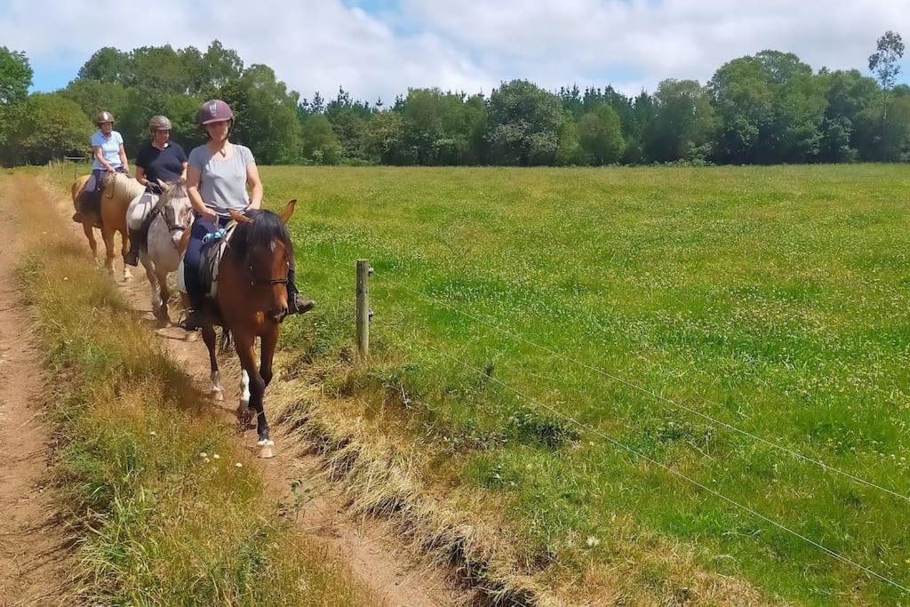 Granja Labrada: Alojamiento Con Caballos Manon Exterior foto