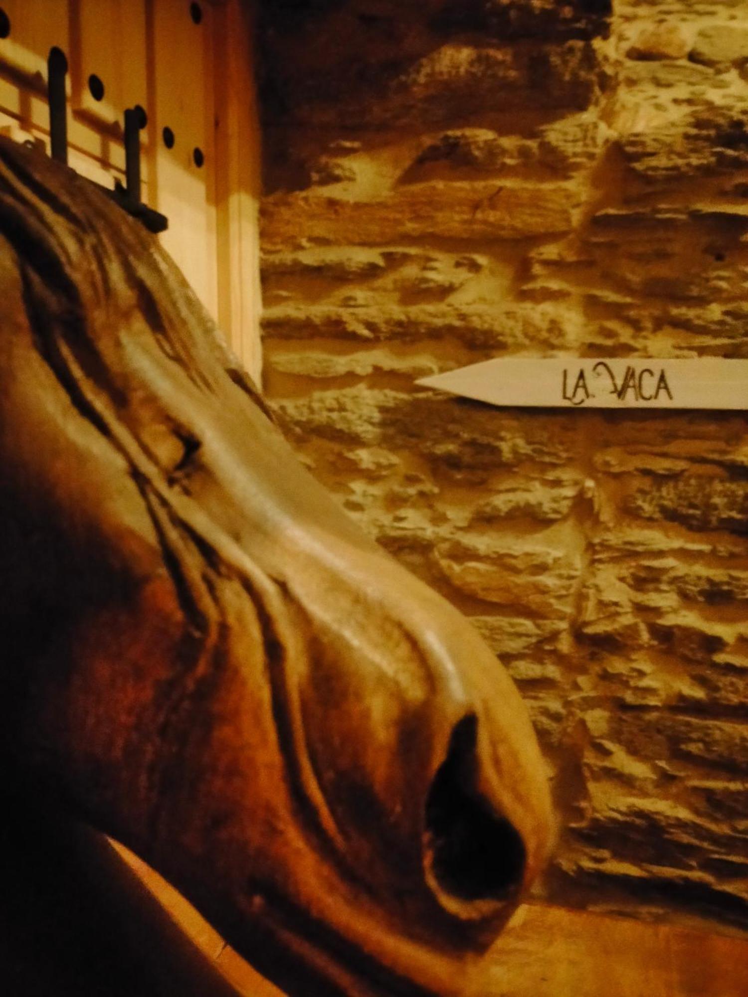 Granja Labrada: Alojamiento Con Caballos Manon Exterior foto